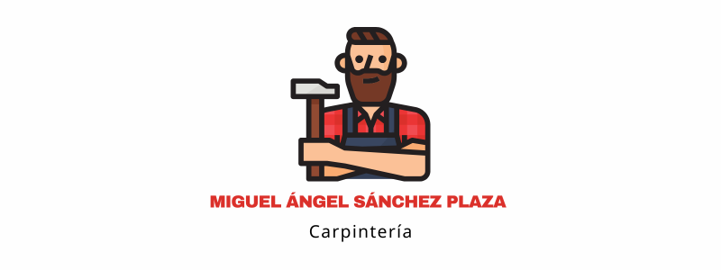 Miguel ángel Sánchez plaza (800 x 300 px)